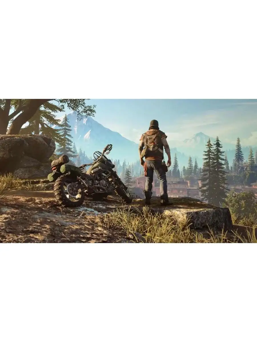 Видеоигра Days Gone PS4 Жизнь После игры на playstation 4 Sony Interactive  Entertainment Europe купить по цене 661 600 сум в интернет-магазине  Wildberries в Узбекистане | 106331478