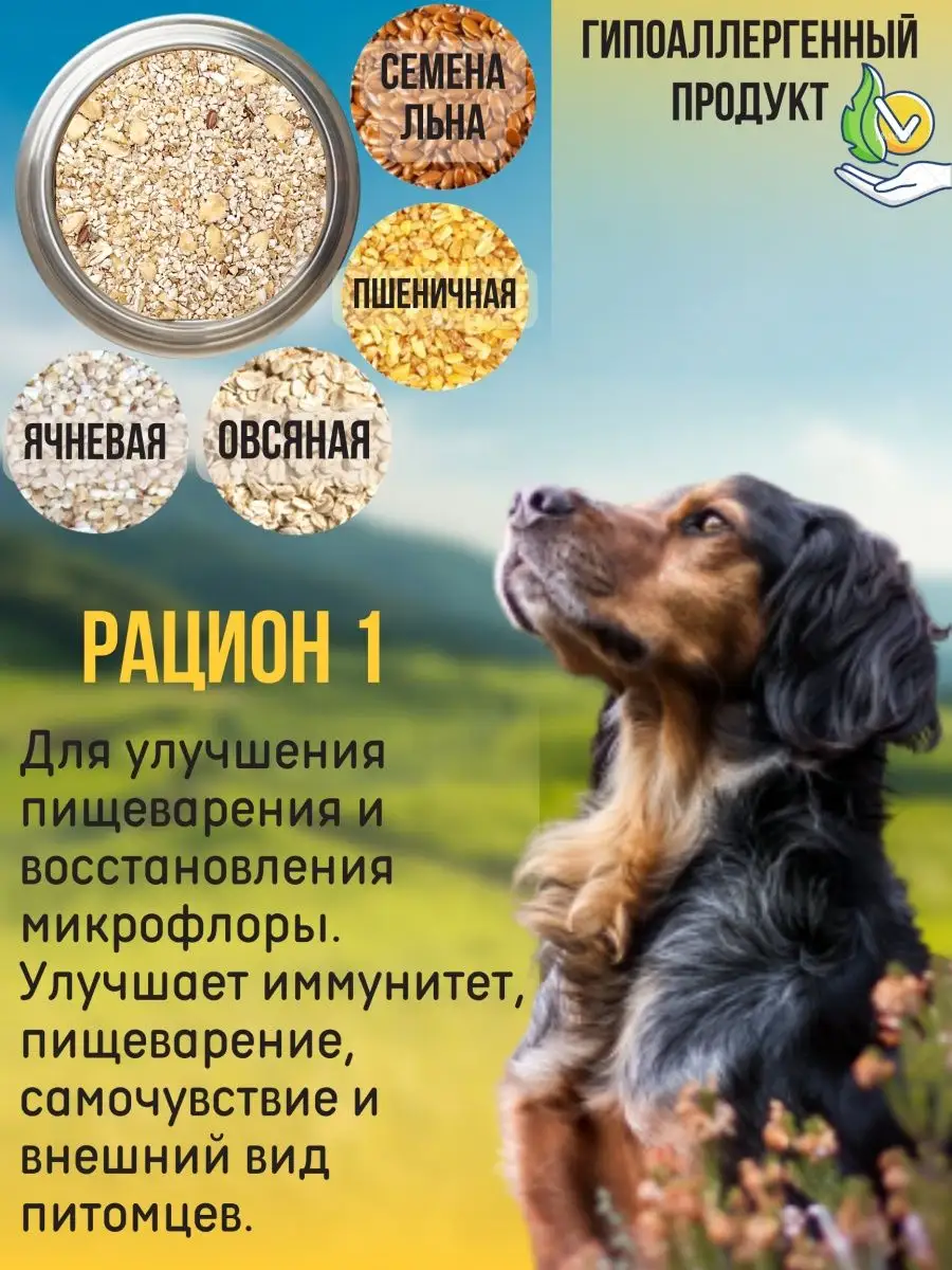 Каша для собак натуральная злаковая, рацион 1 (10 кг) DogmaX купить по цене  766 100 сум в интернет-магазине Wildberries в Узбекистане | 106453622