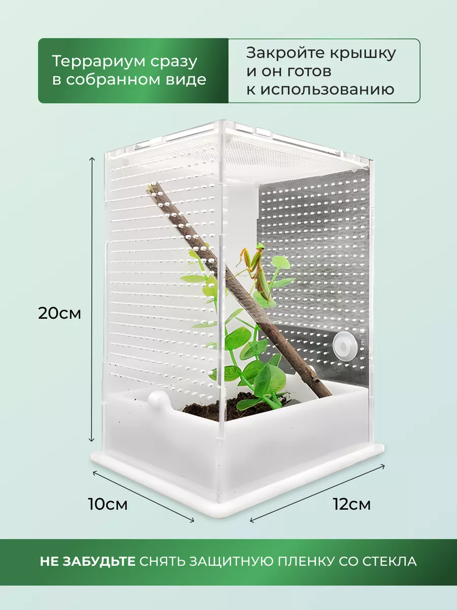 Террариум для богомола и улитки рептилий MeowPets купить по цене 1 552 ₽ в  интернет-магазине Wildberries | 108404182