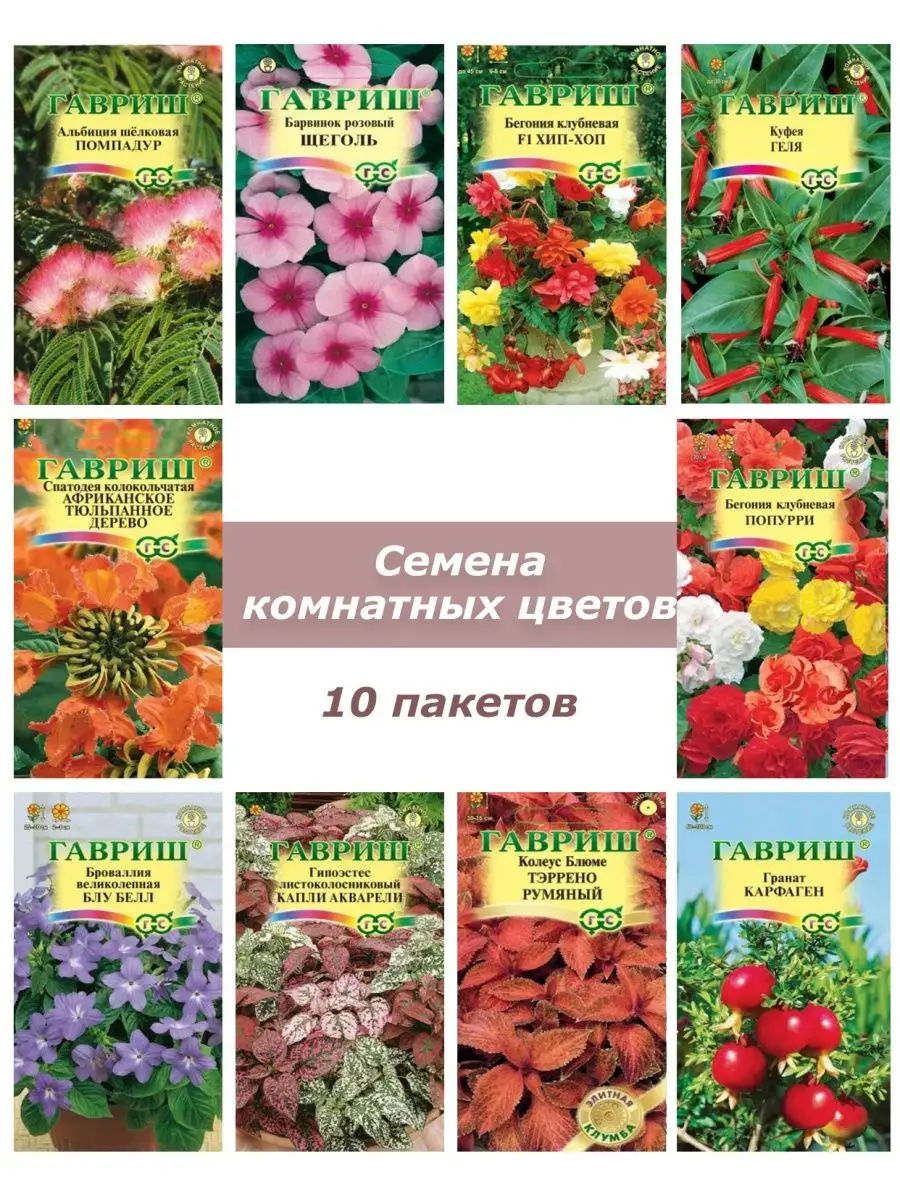 Семена комнатных цветов и растений