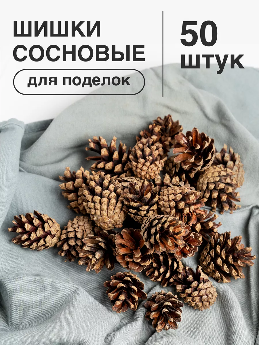 Шишки сосновые для поделок, декора, 50 шт Nature craft купить по цене 5,41  р. в интернет-магазине Wildberries в Беларуси | 109380804