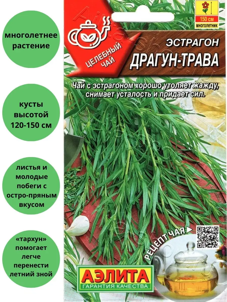 Эстрагон тархун Драгун Трава Агрофирма Аэлита купить по цене 102 ₽ в  интернет-магазине Wildberries | 110177312