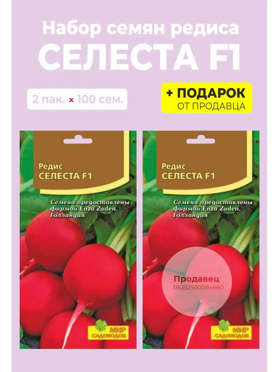 Редис селеста описание сорта отзывы. Редис черриэт. семена редиски упаковка. редис черриэт f1 описание фото. редис селеста отзывы.