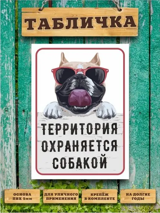 Как социализировать взрослую собаку или щенка? | Зоозабота