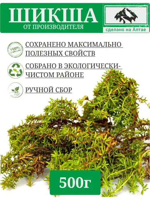 Как выглядит растение шикша шикша